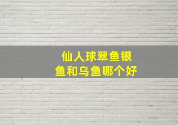 仙人球翠鱼银鱼和乌鱼哪个好