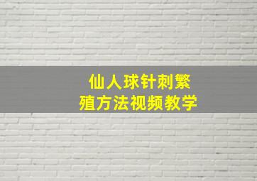 仙人球针刺繁殖方法视频教学