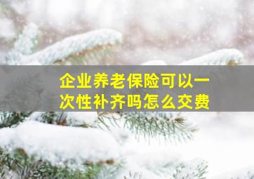 企业养老保险可以一次性补齐吗怎么交费