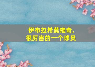 伊布拉希莫维奇,很厉害的一个球员