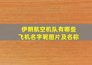 伊朗航空机队有哪些飞机名字呢图片及名称