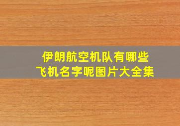 伊朗航空机队有哪些飞机名字呢图片大全集