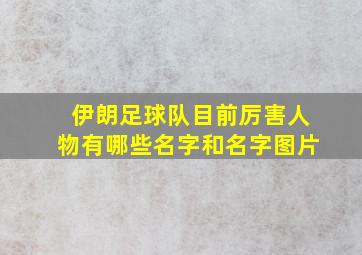 伊朗足球队目前厉害人物有哪些名字和名字图片