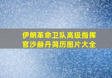 伊朗革命卫队高级指挥官沙赫丹简历图片大全