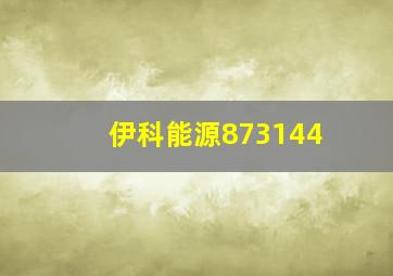 伊科能源873144