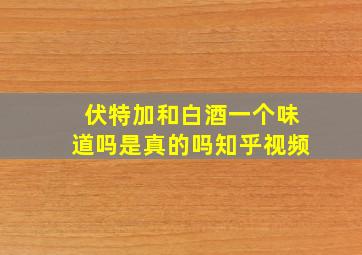 伏特加和白酒一个味道吗是真的吗知乎视频