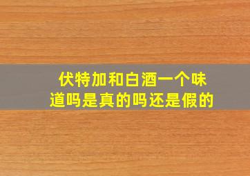 伏特加和白酒一个味道吗是真的吗还是假的