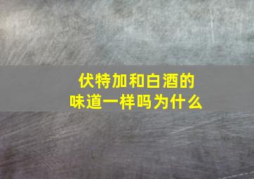 伏特加和白酒的味道一样吗为什么