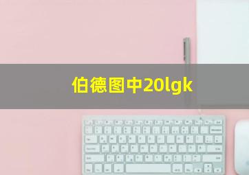 伯德图中20lgk