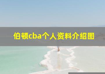 伯顿cba个人资料介绍图