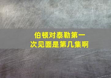 伯顿对泰勒第一次见面是第几集啊