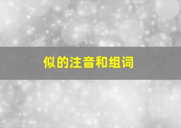 似的注音和组词