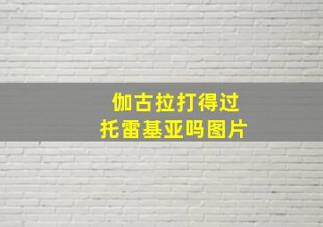 伽古拉打得过托雷基亚吗图片