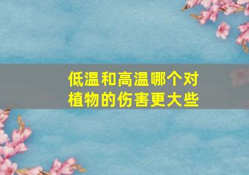 低温和高温哪个对植物的伤害更大些