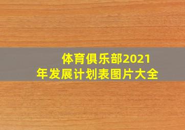 体育俱乐部2021年发展计划表图片大全