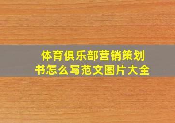 体育俱乐部营销策划书怎么写范文图片大全