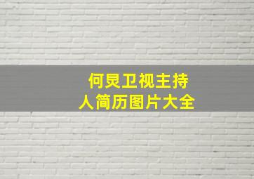 何炅卫视主持人简历图片大全