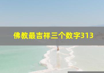 佛教最吉祥三个数字313