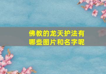 佛教的龙天护法有哪些图片和名字呢