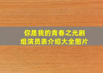 你是我的青春之光剧组演员表介绍大全图片