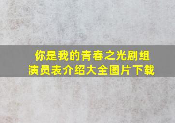 你是我的青春之光剧组演员表介绍大全图片下载