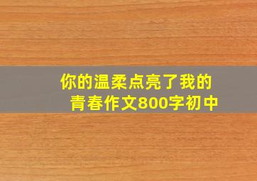 你的温柔点亮了我的青春作文800字初中