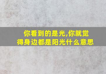 你看到的是光,你就觉得身边都是阳光什么意思