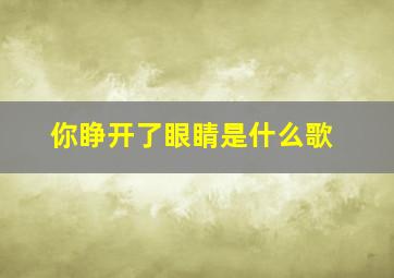 你睁开了眼睛是什么歌