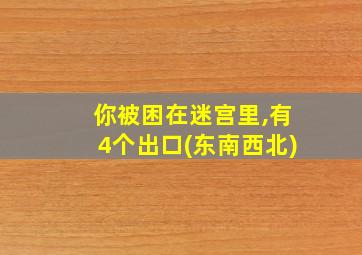 你被困在迷宫里,有4个出口(东南西北)