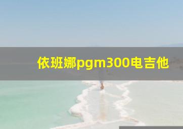 依班娜pgm300电吉他