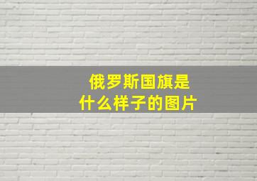 俄罗斯国旗是什么样子的图片