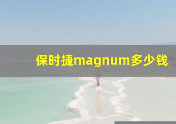 保时捷magnum多少钱