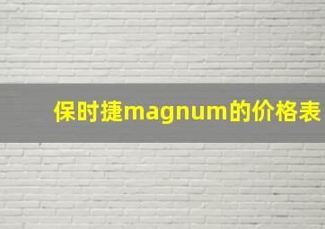 保时捷magnum的价格表