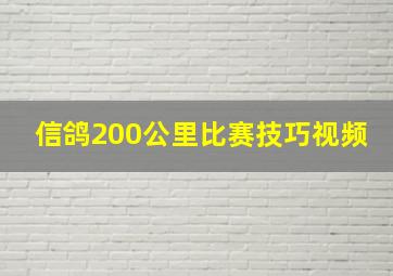 信鸽200公里比赛技巧视频