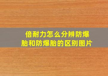 倍耐力怎么分辨防爆胎和防爆胎的区别图片