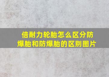 倍耐力轮胎怎么区分防爆胎和防爆胎的区别图片