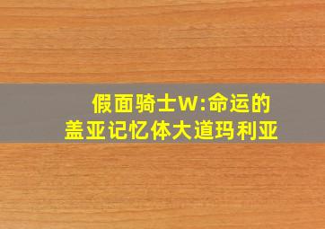 假面骑士W:命运的盖亚记忆体大道玛利亚