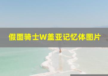 假面骑士W盖亚记忆体图片