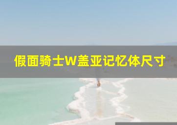 假面骑士W盖亚记忆体尺寸