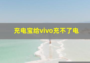 充电宝给vivo充不了电