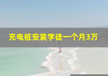 充电桩安装学徒一个月3万