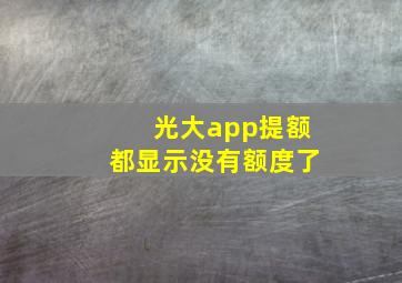 光大app提额都显示没有额度了