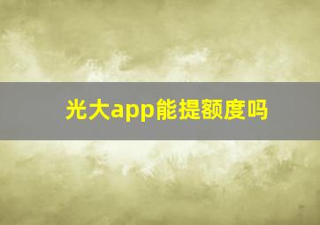 光大app能提额度吗