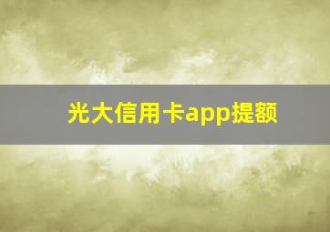 光大信用卡app提额