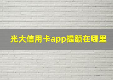 光大信用卡app提额在哪里