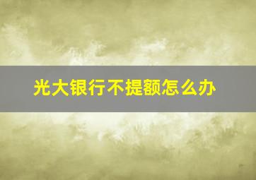 光大银行不提额怎么办