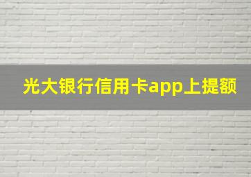 光大银行信用卡app上提额