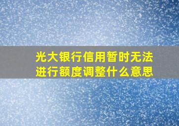 光大银行信用暂时无法进行额度调整什么意思