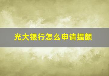 光大银行怎么申请提额