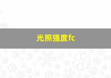 光照强度fc